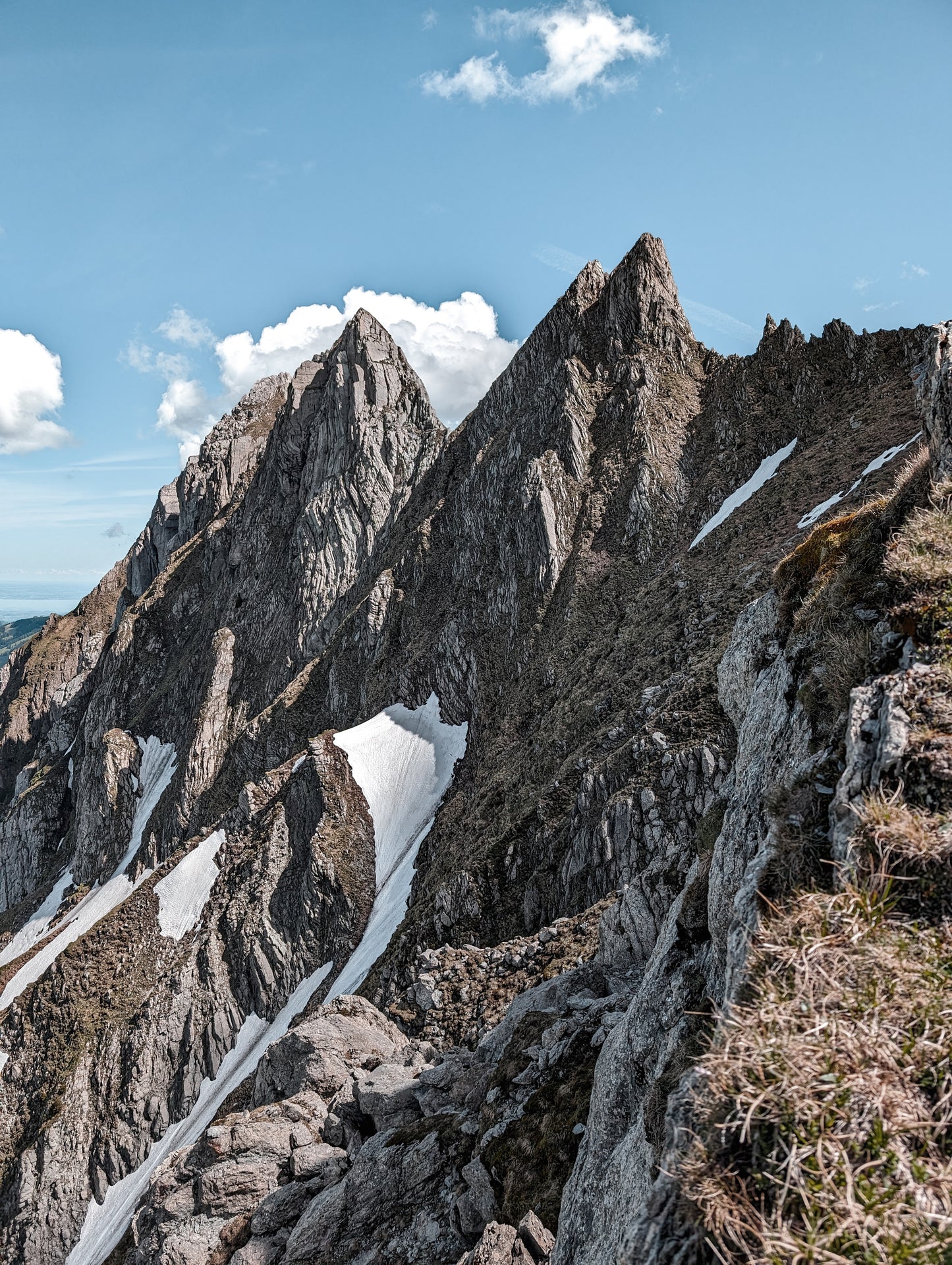 Schwarzchopf & Gamschopf SG - regular Shirt (PREORDER)