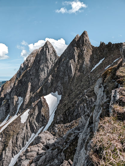 Schwarzchopf & Gamschopf SG - regular Shirt (PREORDER)